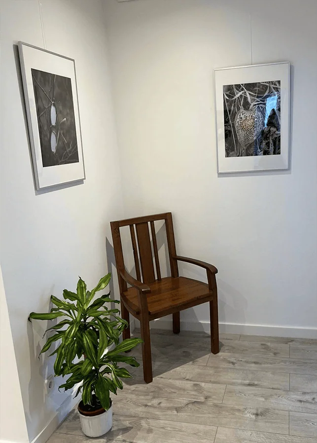 Ein Holzstuhl steht in einem Wartebereich, umgeben von zwei gerahmten Bildern und einer Pflanze in einem Topf.